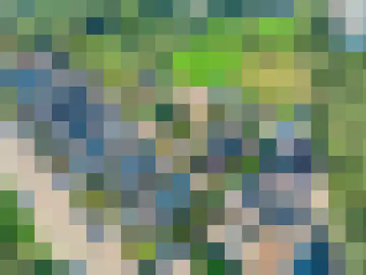 Oude Zwolseweg 67 Wenum Wiesel thumbnail 28