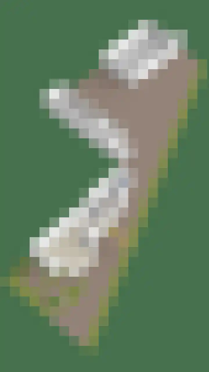 Oude Zwolseweg 67 Wenum Wiesel thumbnail 38