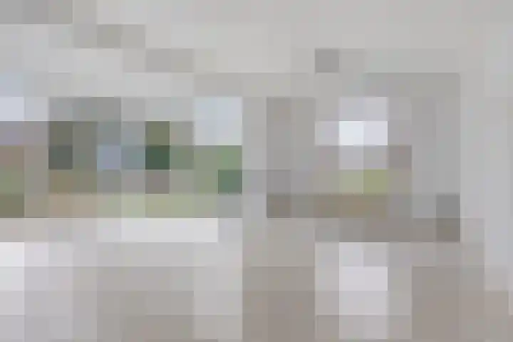 Oude Zwolseweg 67 Wenum Wiesel thumbnail 5