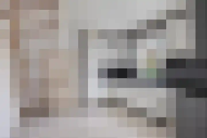 Oude Zwolseweg 67 Wenum Wiesel thumbnail 7