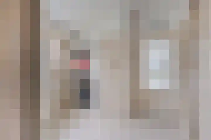Oude Zwolseweg 67 Wenum Wiesel thumbnail 9