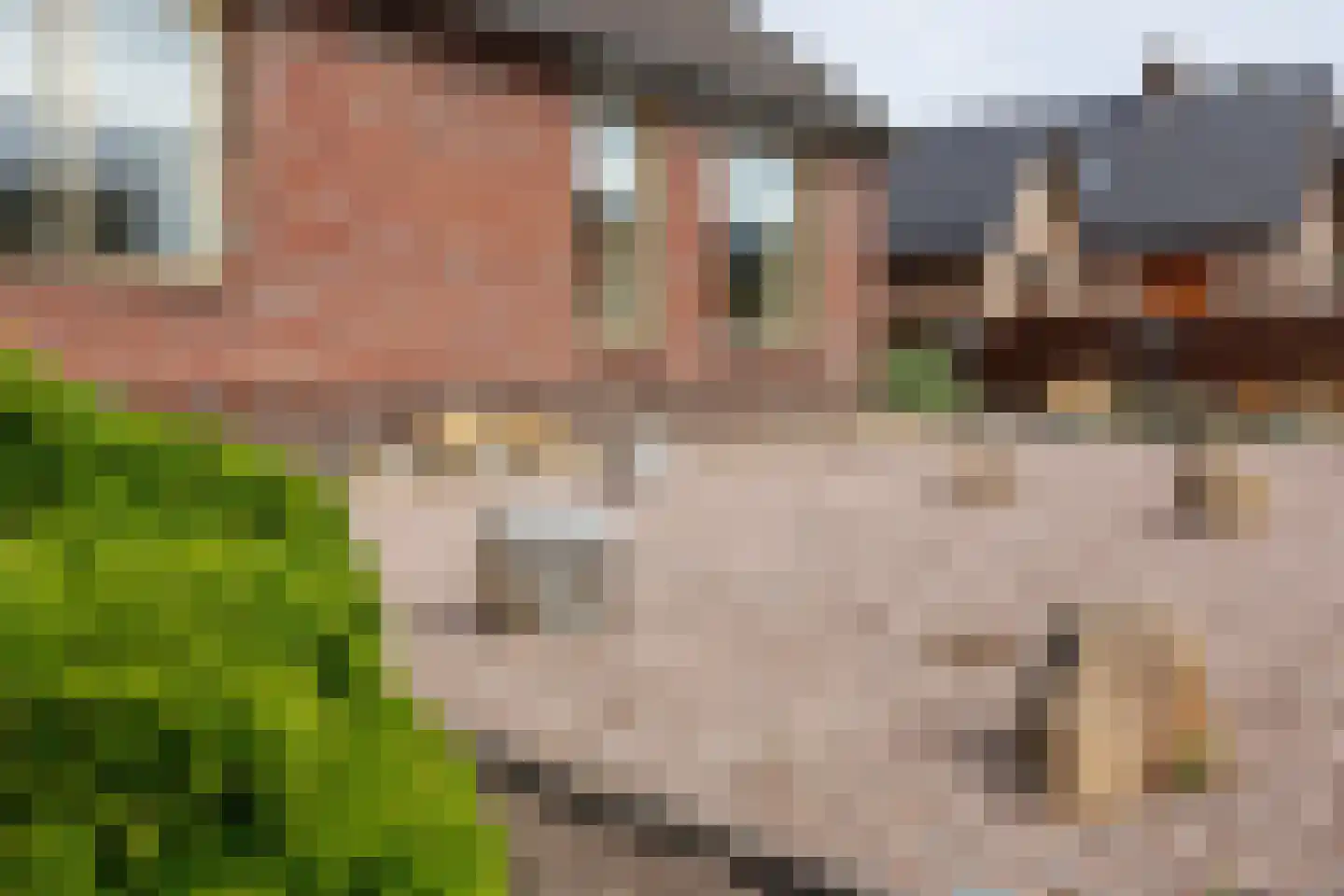 Oudebaan 4 Milsbeek thumbnail 29