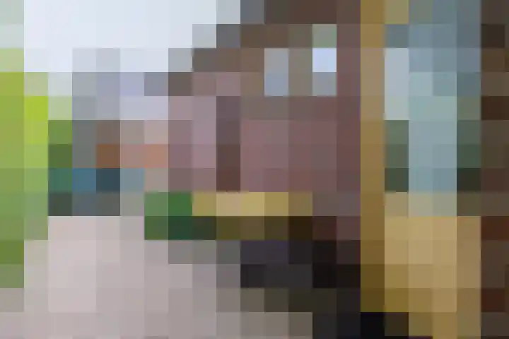 Oudebaan 4 Milsbeek thumbnail 35