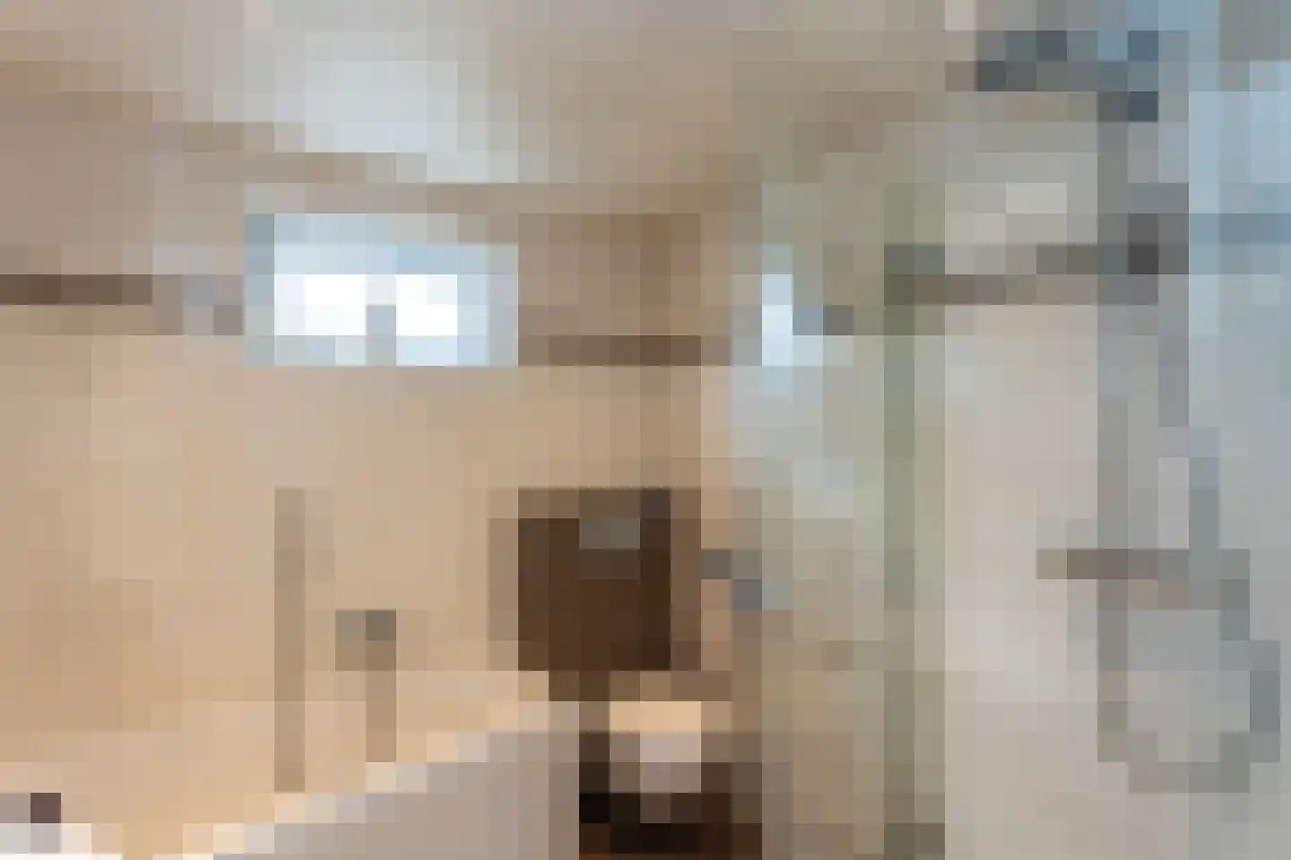 Oudebaan 48 Milsbeek thumbnail 33