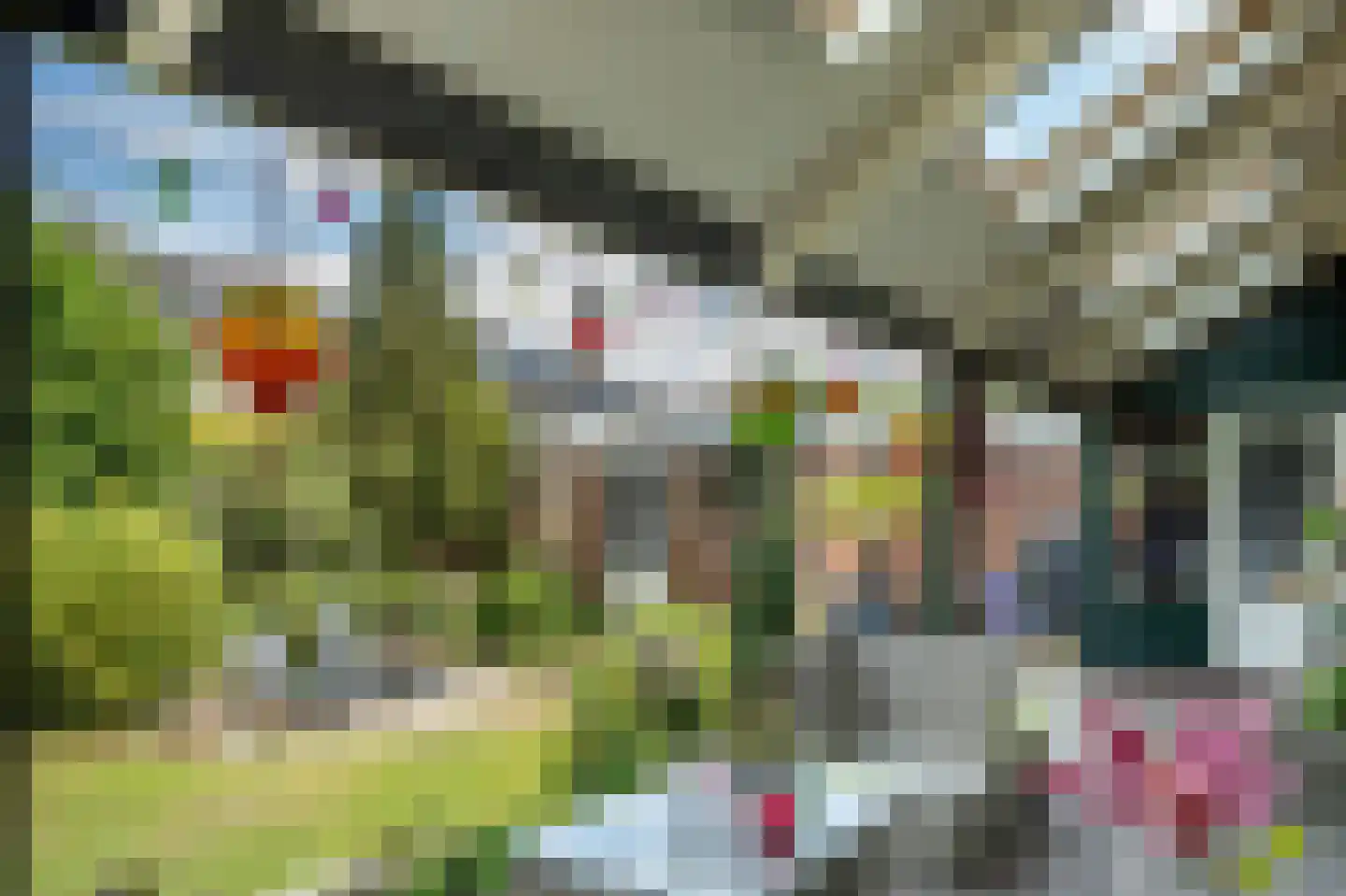 Oudebaan 48 Milsbeek thumbnail 41