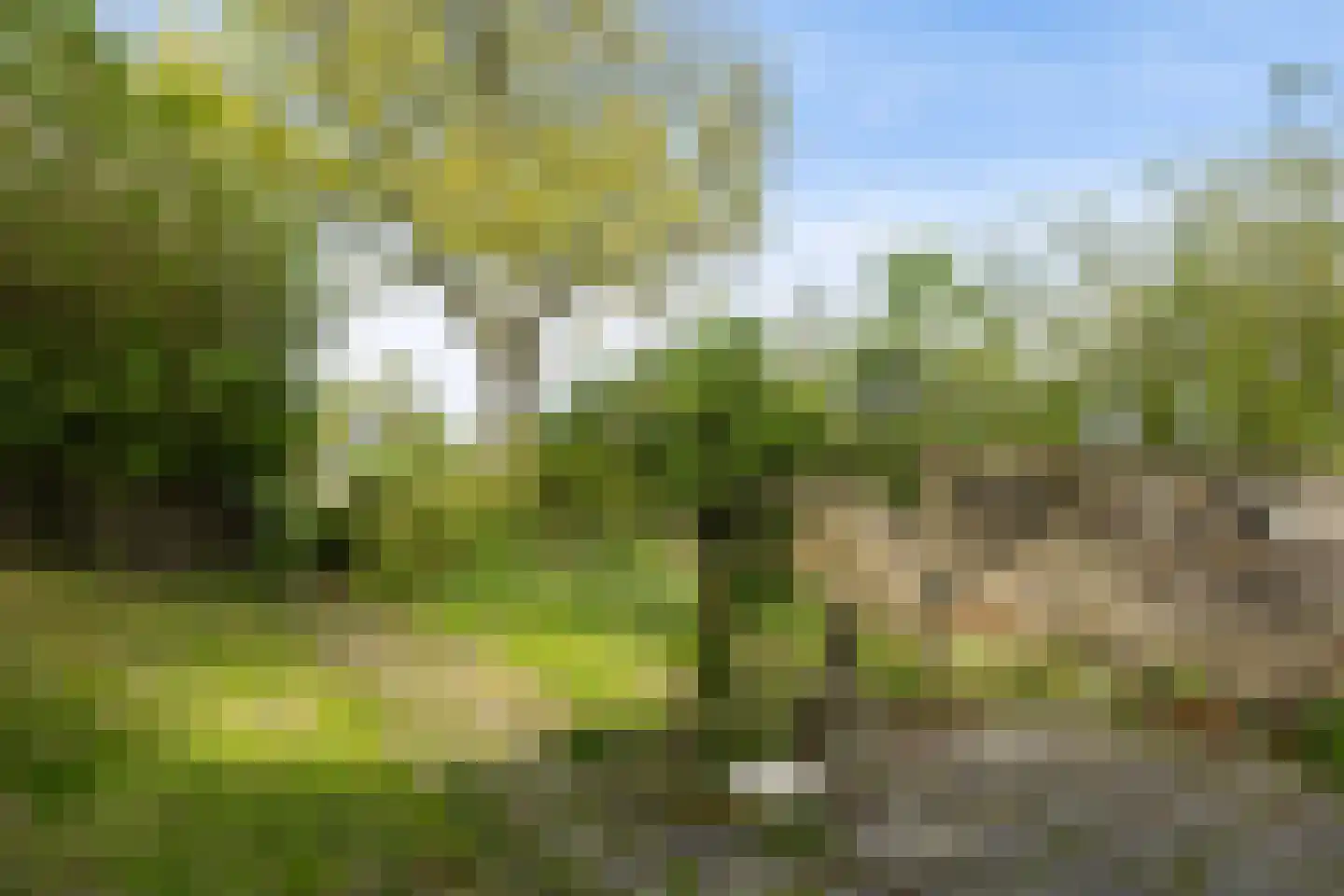 Oudebildtdijk 110 Oudebildtzijl thumbnail 4