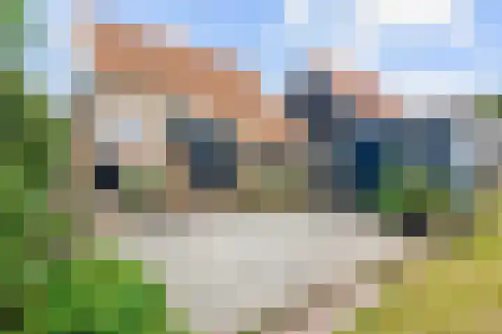 Oudebildtdijk 1132 Westhoek thumbnail 42