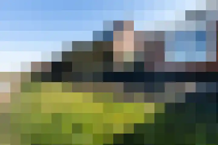 Oudebildtdijk 1146 Westhoek thumbnail 32