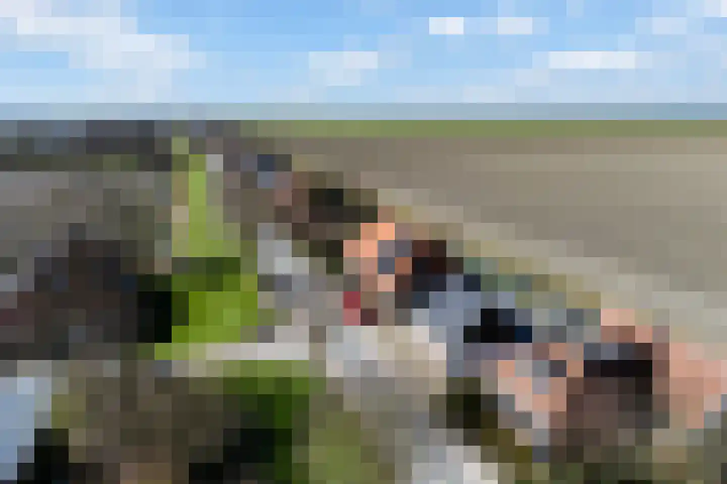 Oudebildtdijk 1146 Westhoek thumbnail 43