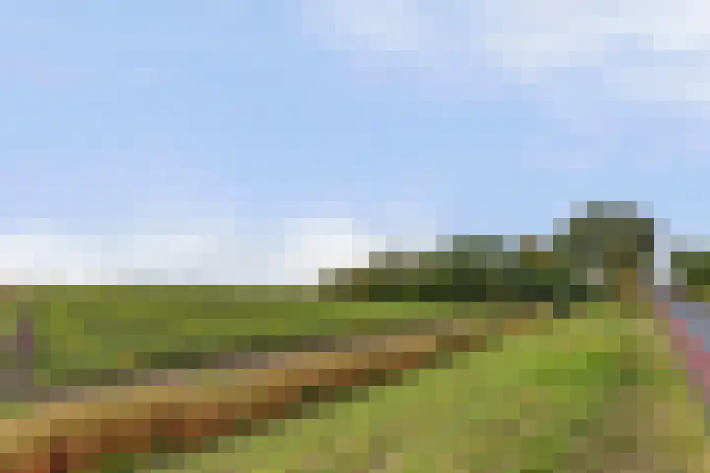 Oudebildtdijk 1160 Westhoek thumbnail 31