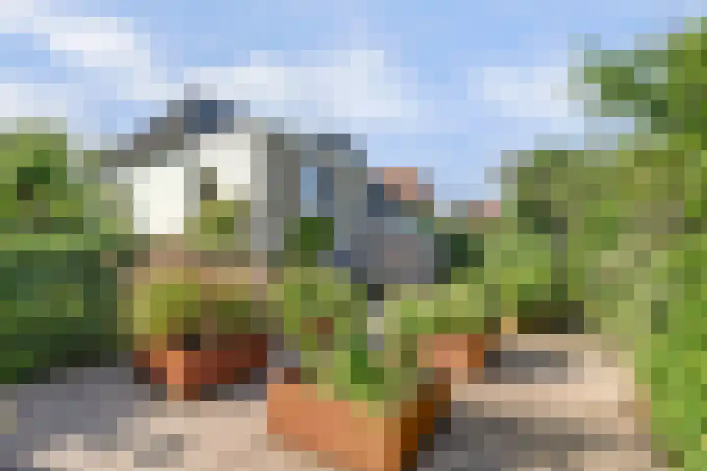 Oudebildtdijk 1160 Westhoek thumbnail 33
