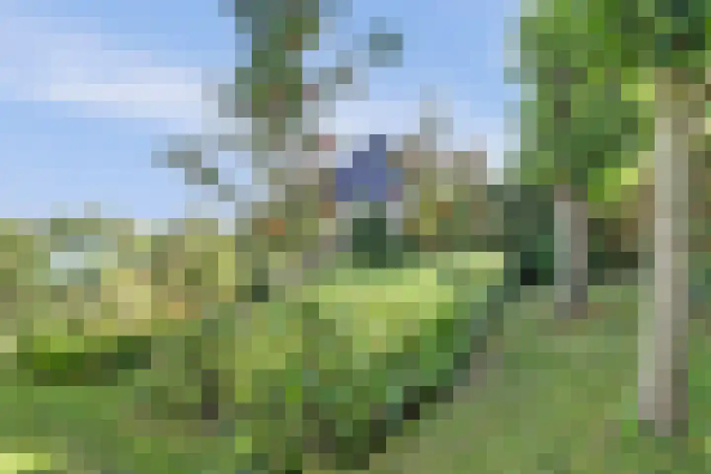 Oudebildtdijk 1160 Westhoek thumbnail 39