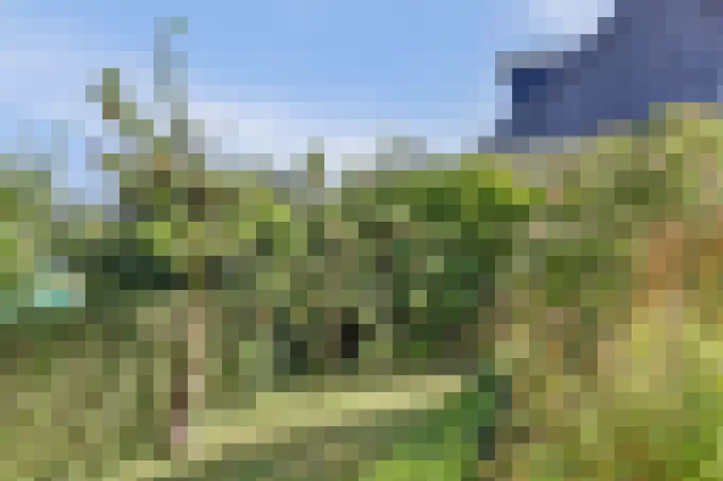 Oudebildtdijk 1160 Westhoek thumbnail 40