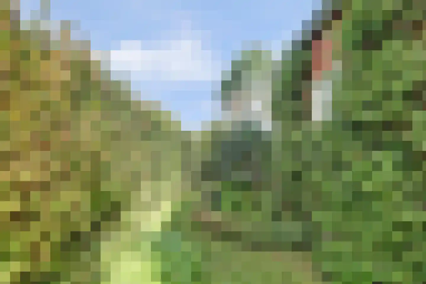 Oudebildtdijk 1160 Westhoek thumbnail 43