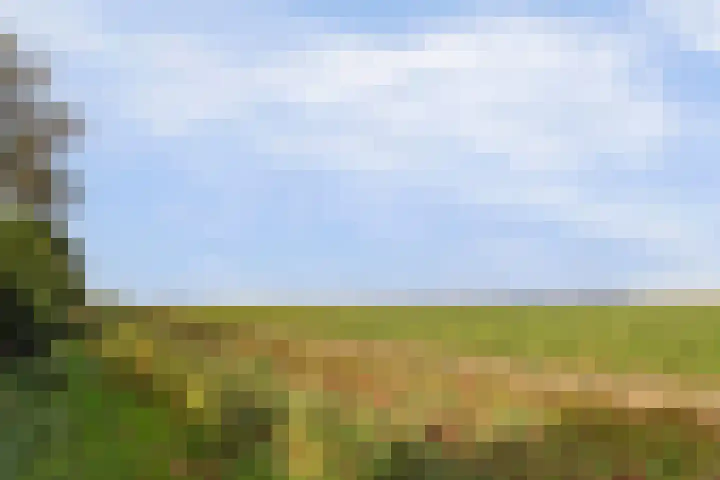 Oudebildtdijk 1160 Westhoek thumbnail 44