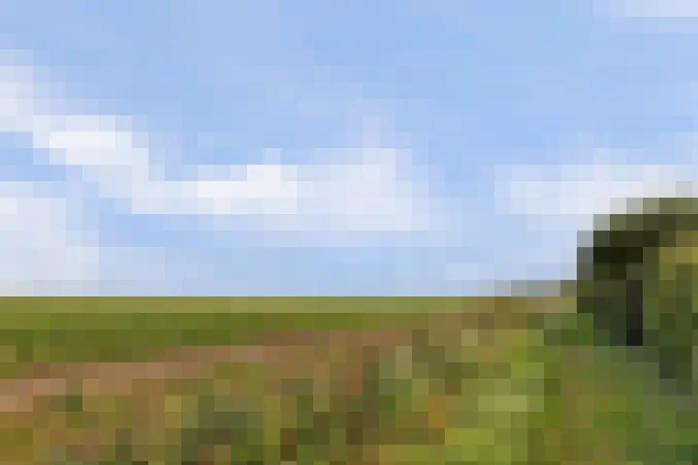 Oudebildtdijk 1160 Westhoek thumbnail 45