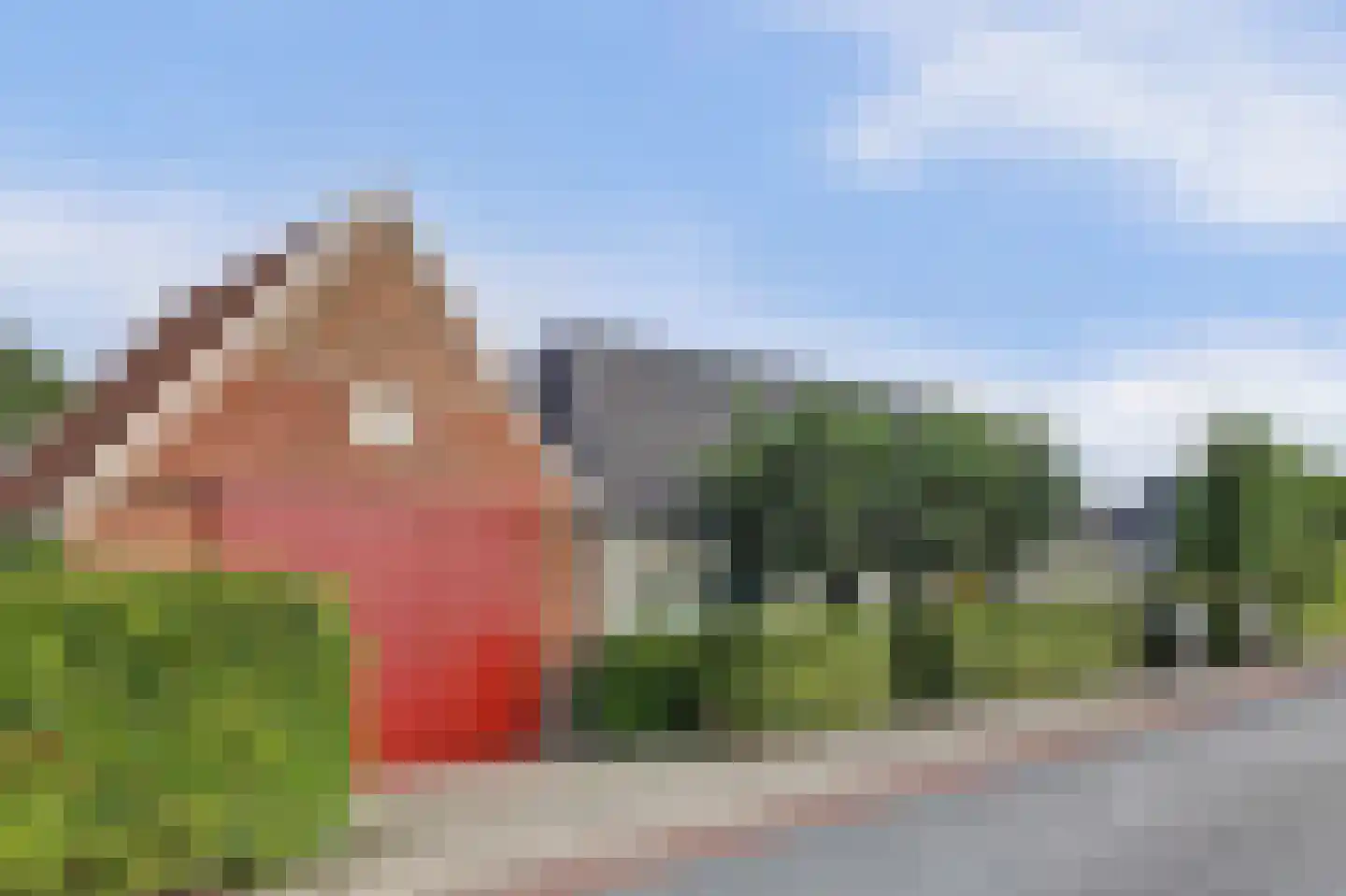 Oudebildtdijk 1160 Westhoek thumbnail 47