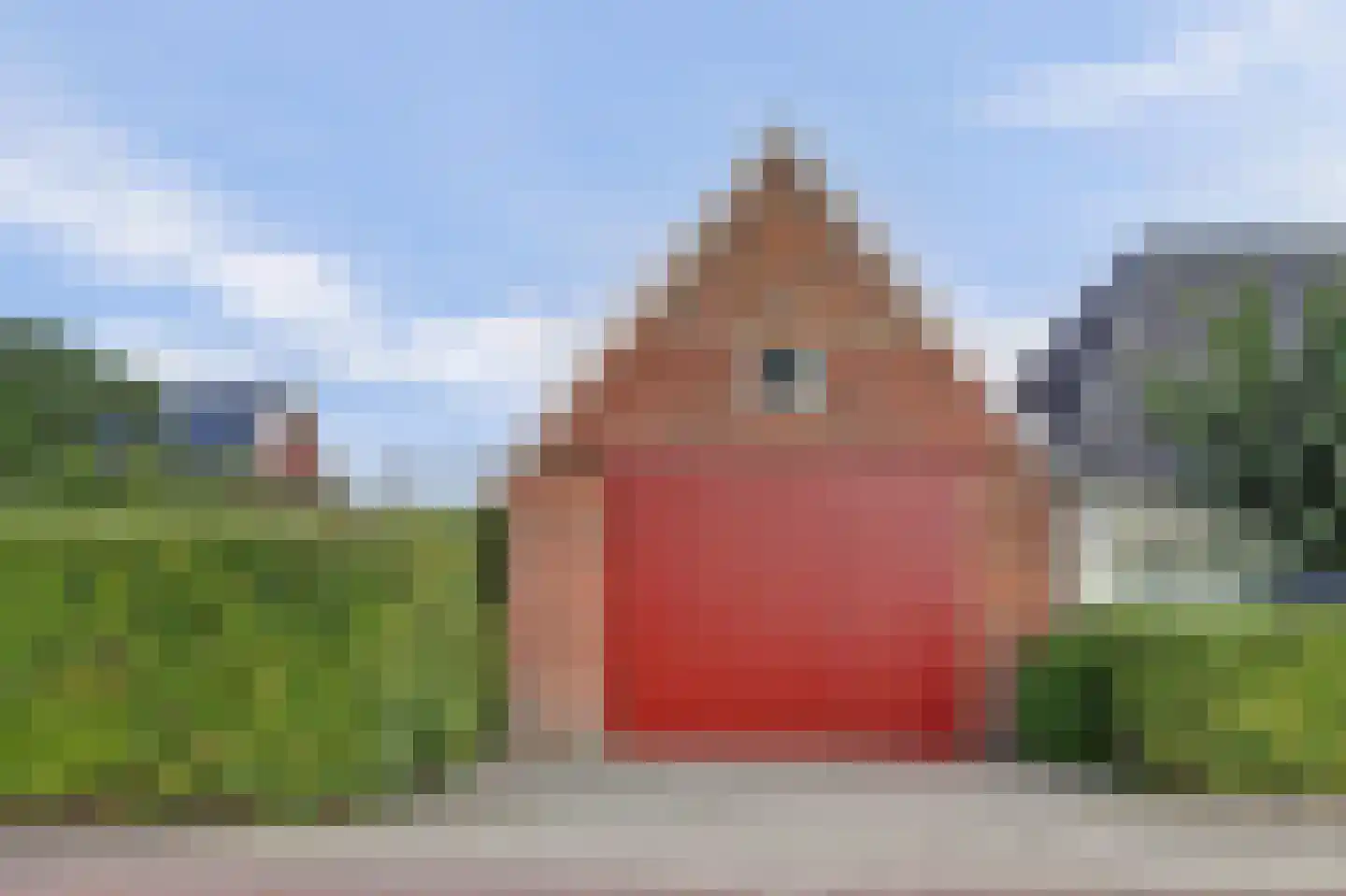 Oudebildtdijk 1160 Westhoek thumbnail 48