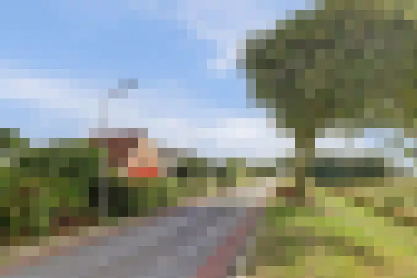 Oudebildtdijk 1160 Westhoek thumbnail 50
