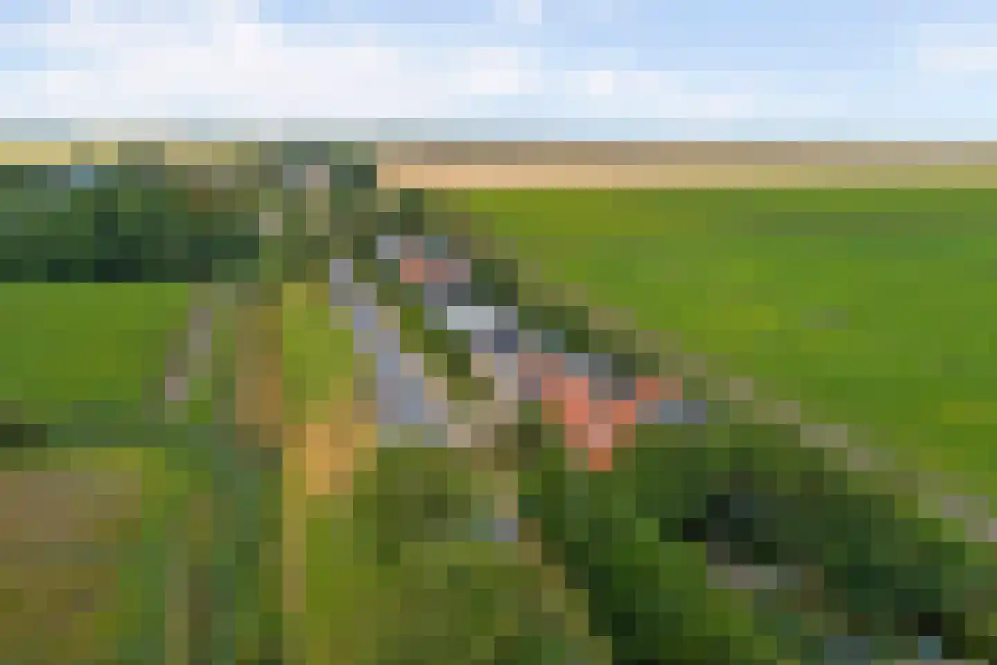 Oudebildtdijk 1160 Westhoek thumbnail 59