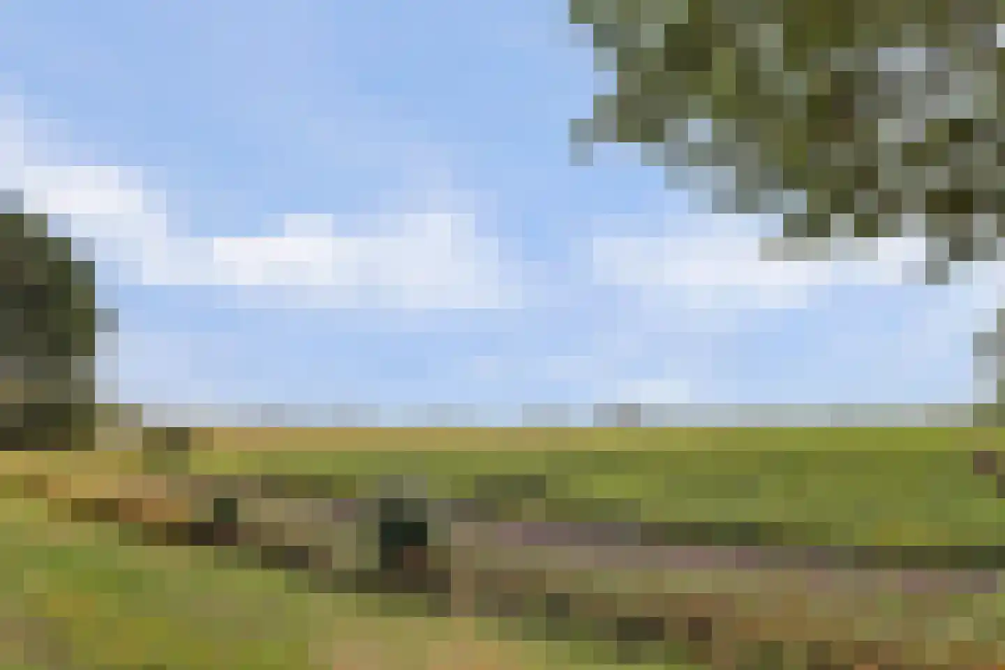 Oudebildtdijk 1160 Westhoek thumbnail 60