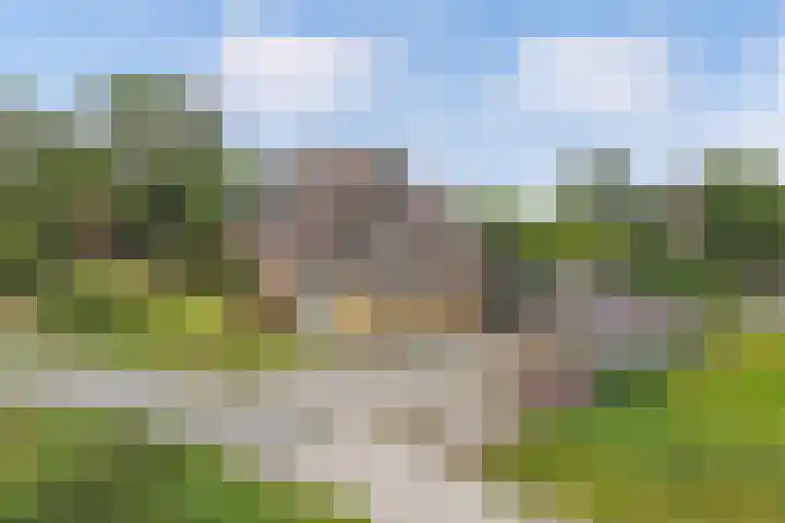 Oudebildtdijk 1174 Westhoek thumbnail 12