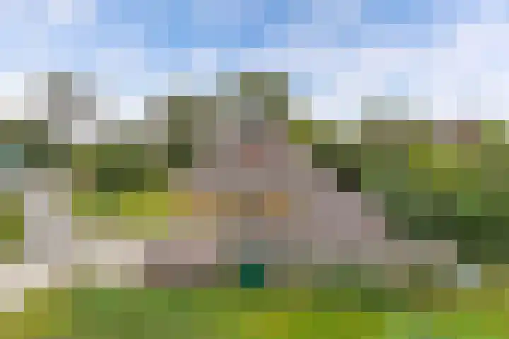 Oudebildtdijk 1174 Westhoek thumbnail 13