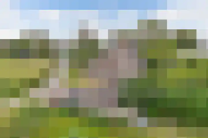 Oudebildtdijk 1174 Westhoek thumbnail 14
