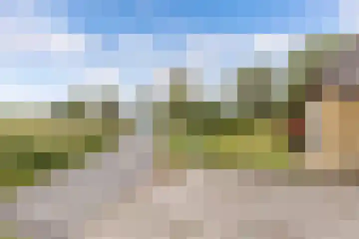Oudebildtdijk 1174 Westhoek thumbnail 4