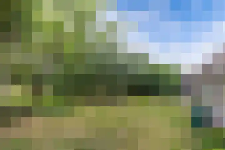 Oudebildtdijk 1174 Westhoek thumbnail 49