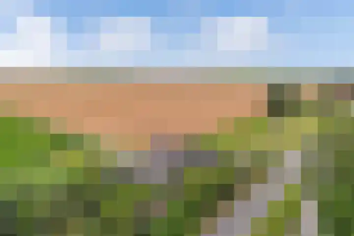 Oudebildtdijk 1174 Westhoek thumbnail 9