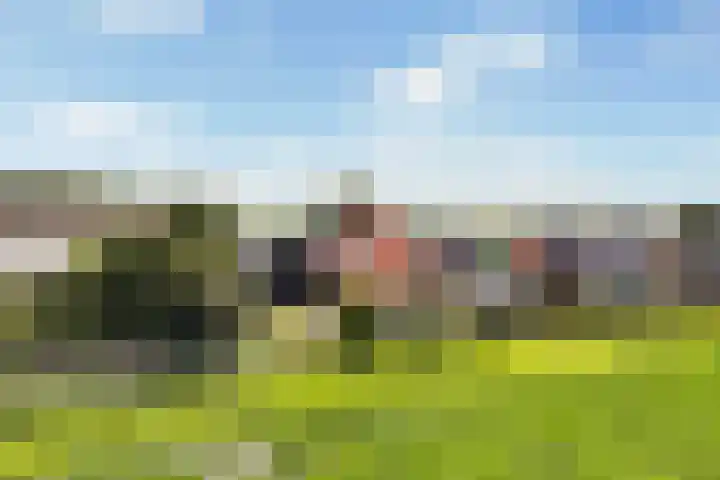 Oudebildtdijk 1176 Westhoek thumbnail 51