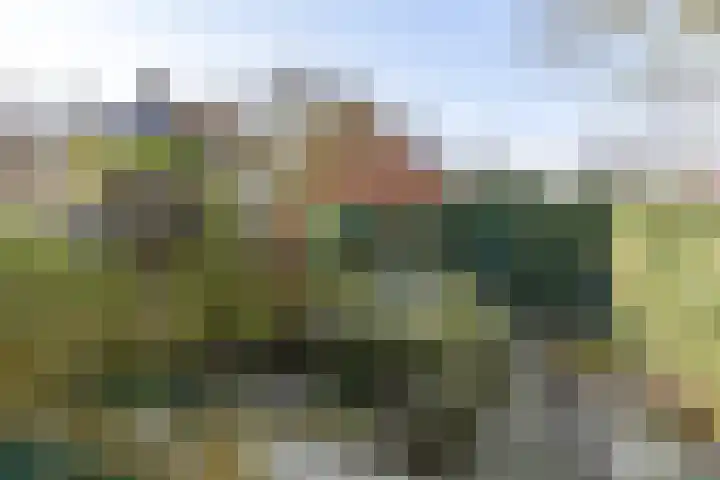 Oudebildtdijk 1190 Westhoek thumbnail 37