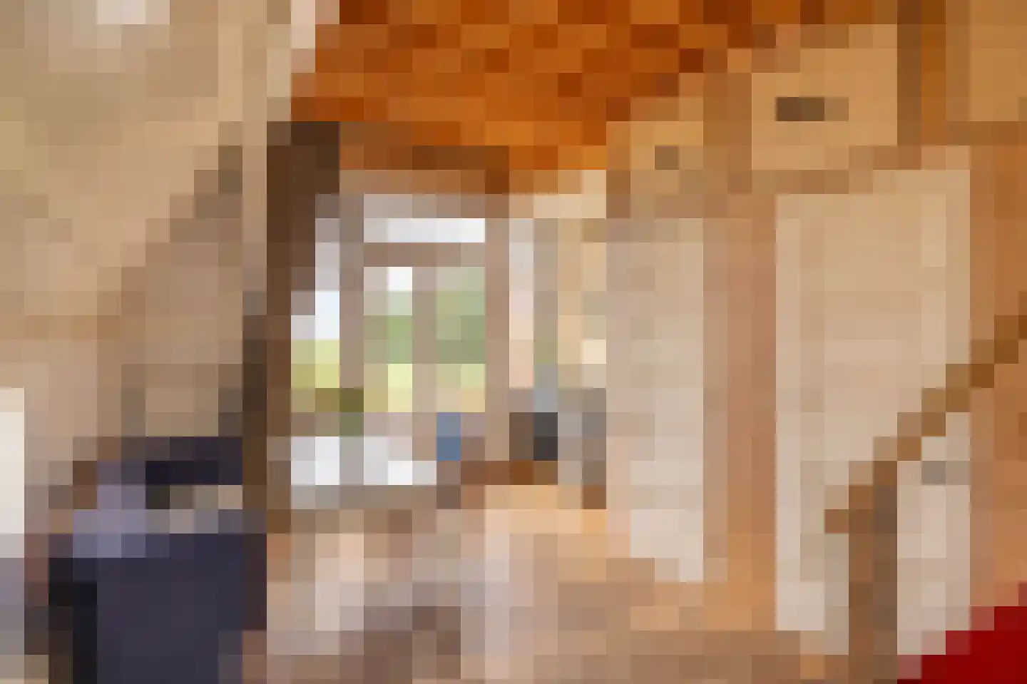 Oudebildtdijk 1222 Westhoek thumbnail 33