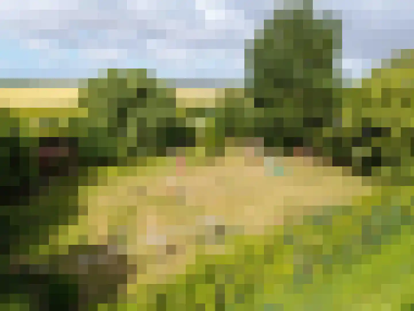Oudebildtdijk 1222 Westhoek thumbnail 4