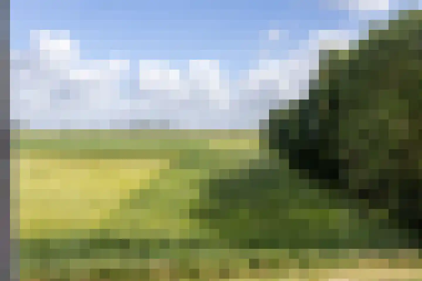 Oudebildtdijk 1222 Westhoek thumbnail 46