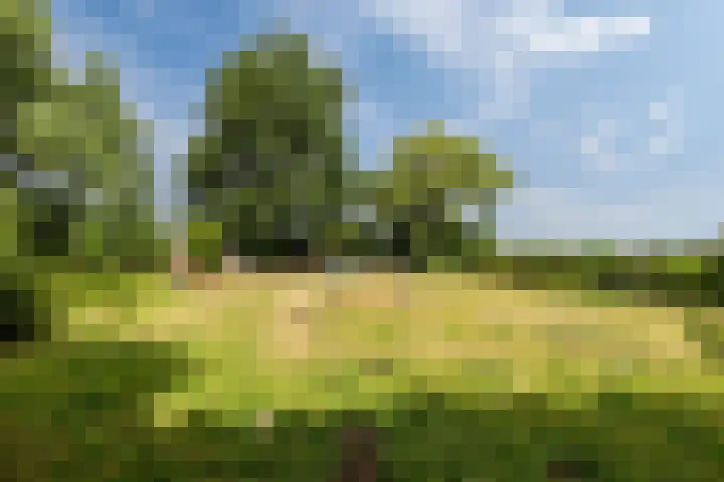 Oudebildtdijk 1222 Westhoek thumbnail 5