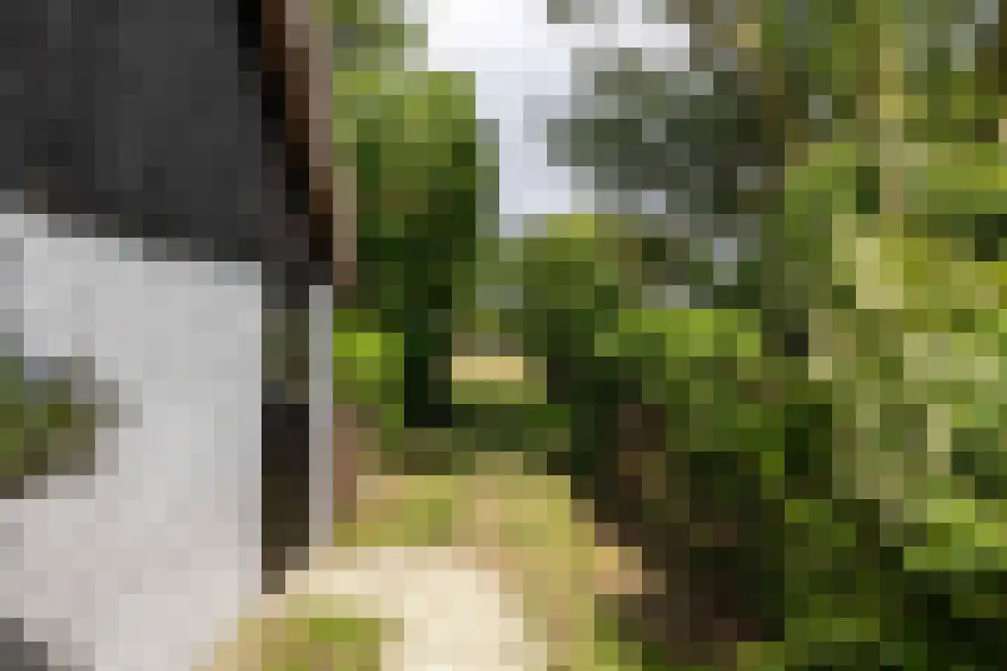 Oudebildtdijk 1222 Westhoek thumbnail 64