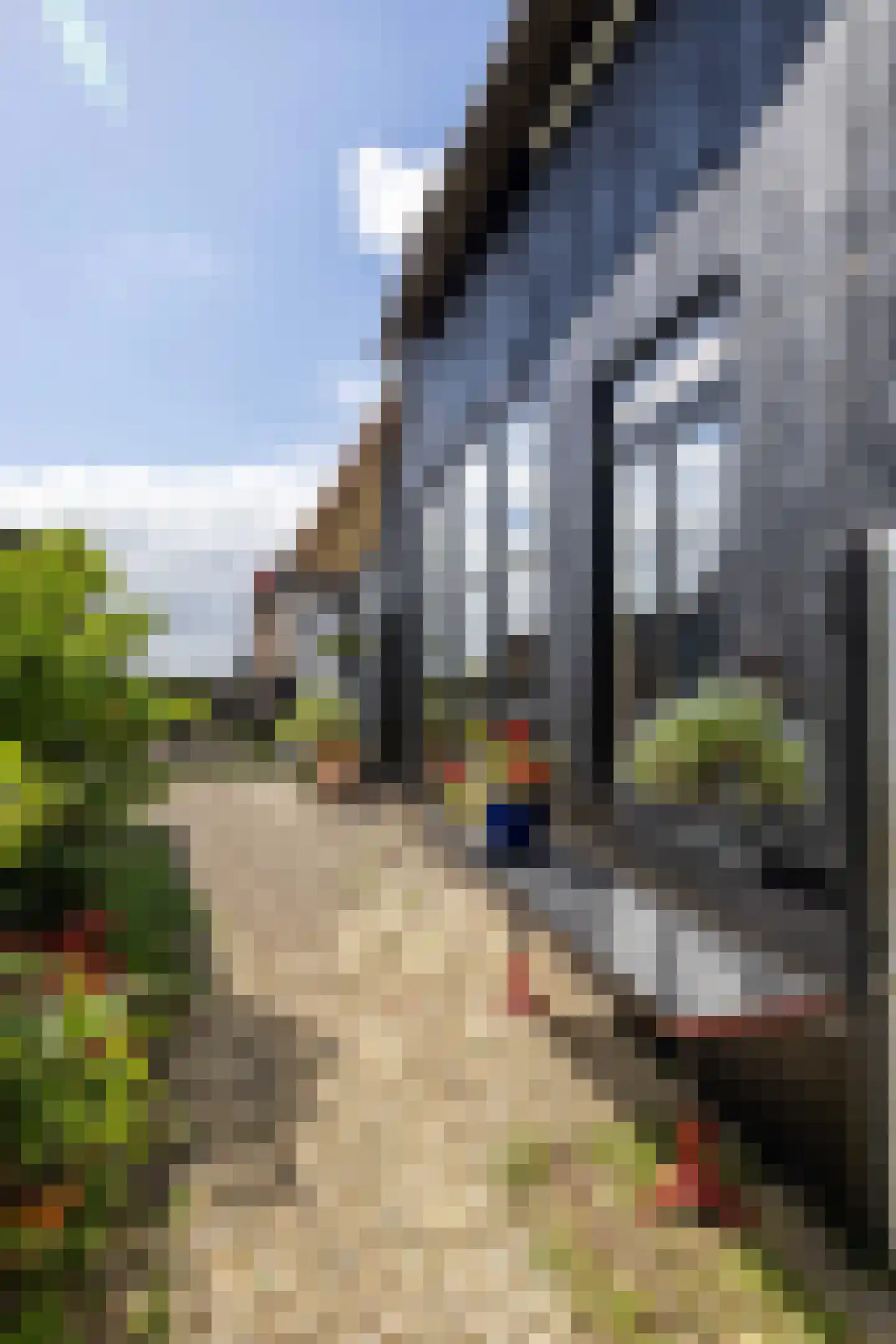 Oudebildtdijk 1222 Westhoek thumbnail 65
