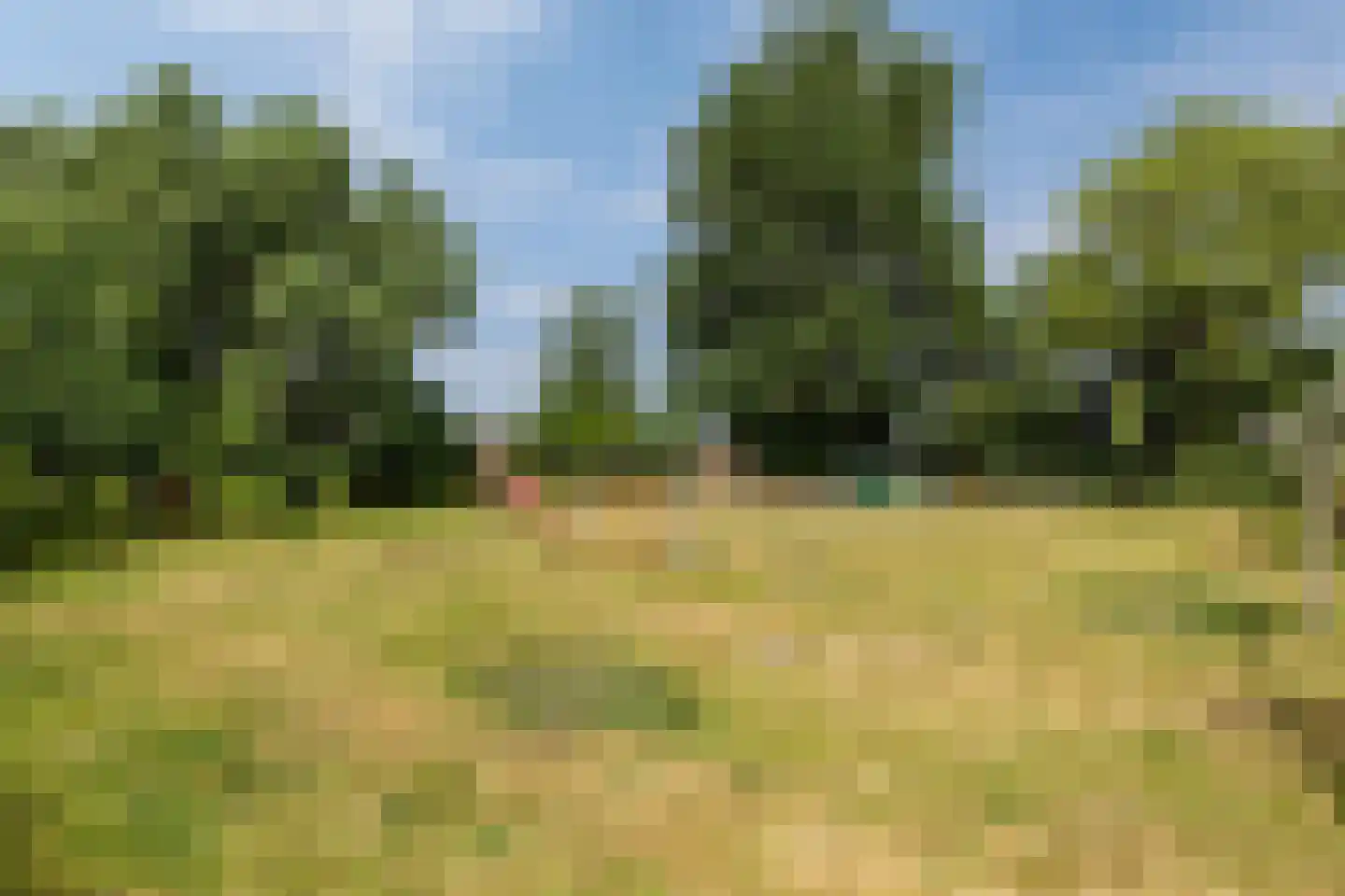 Oudebildtdijk 1222 Westhoek thumbnail 79