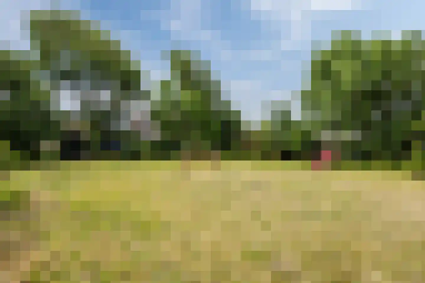 Oudebildtdijk 1222 Westhoek thumbnail 80