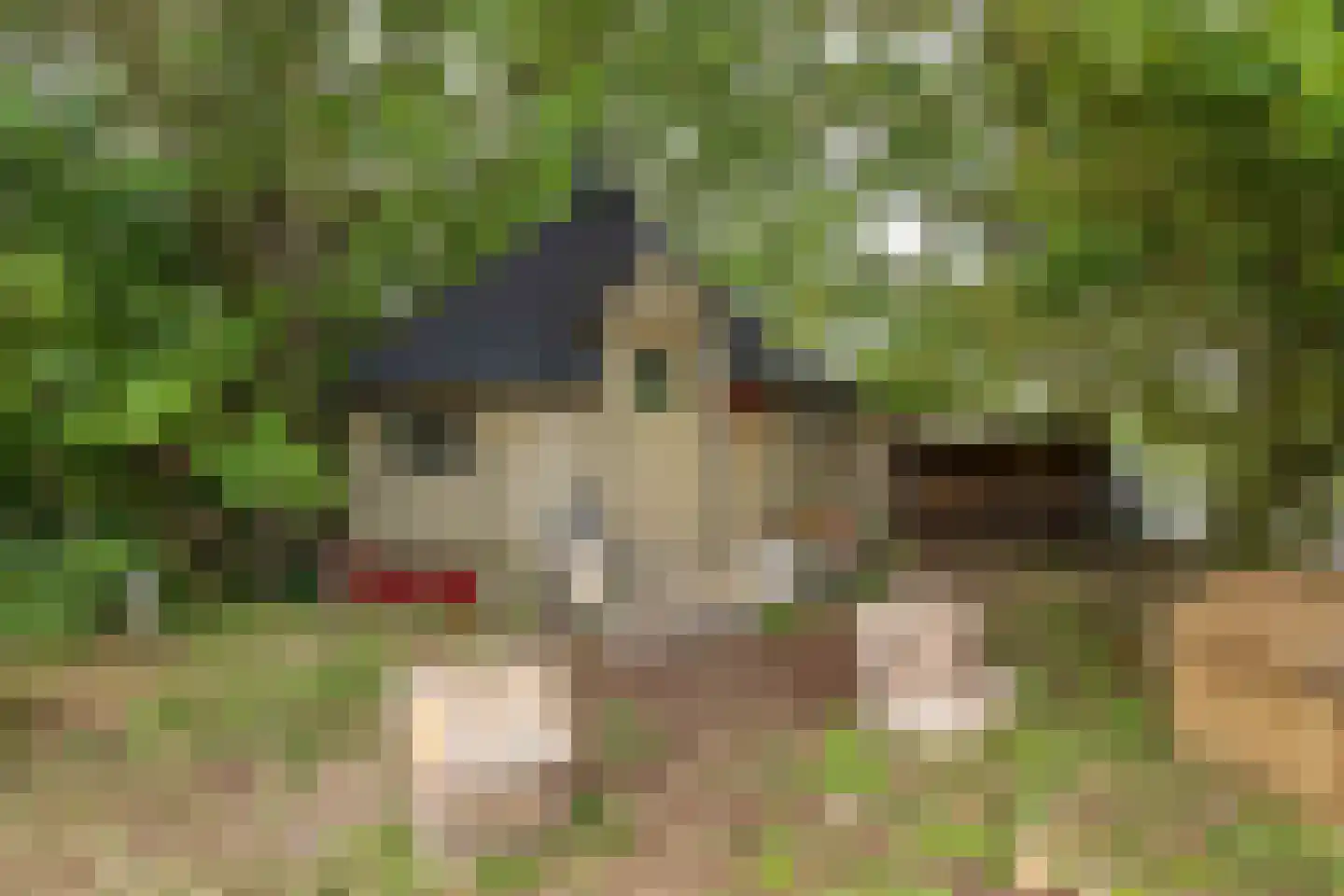 Oudebildtdijk 1222 Westhoek thumbnail 81