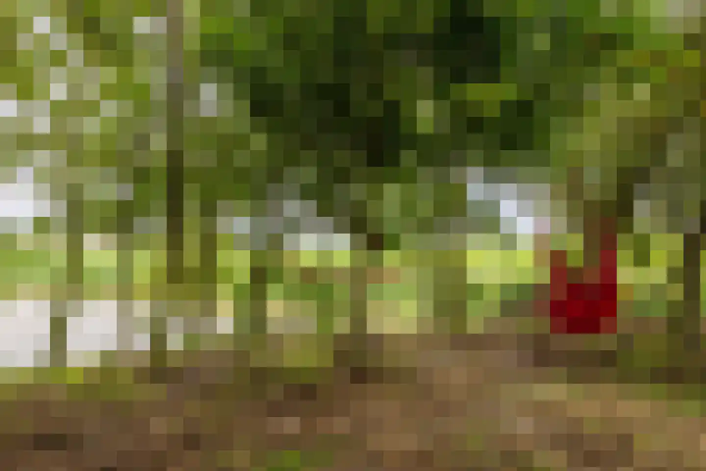 Oudebildtdijk 1222 Westhoek thumbnail 83