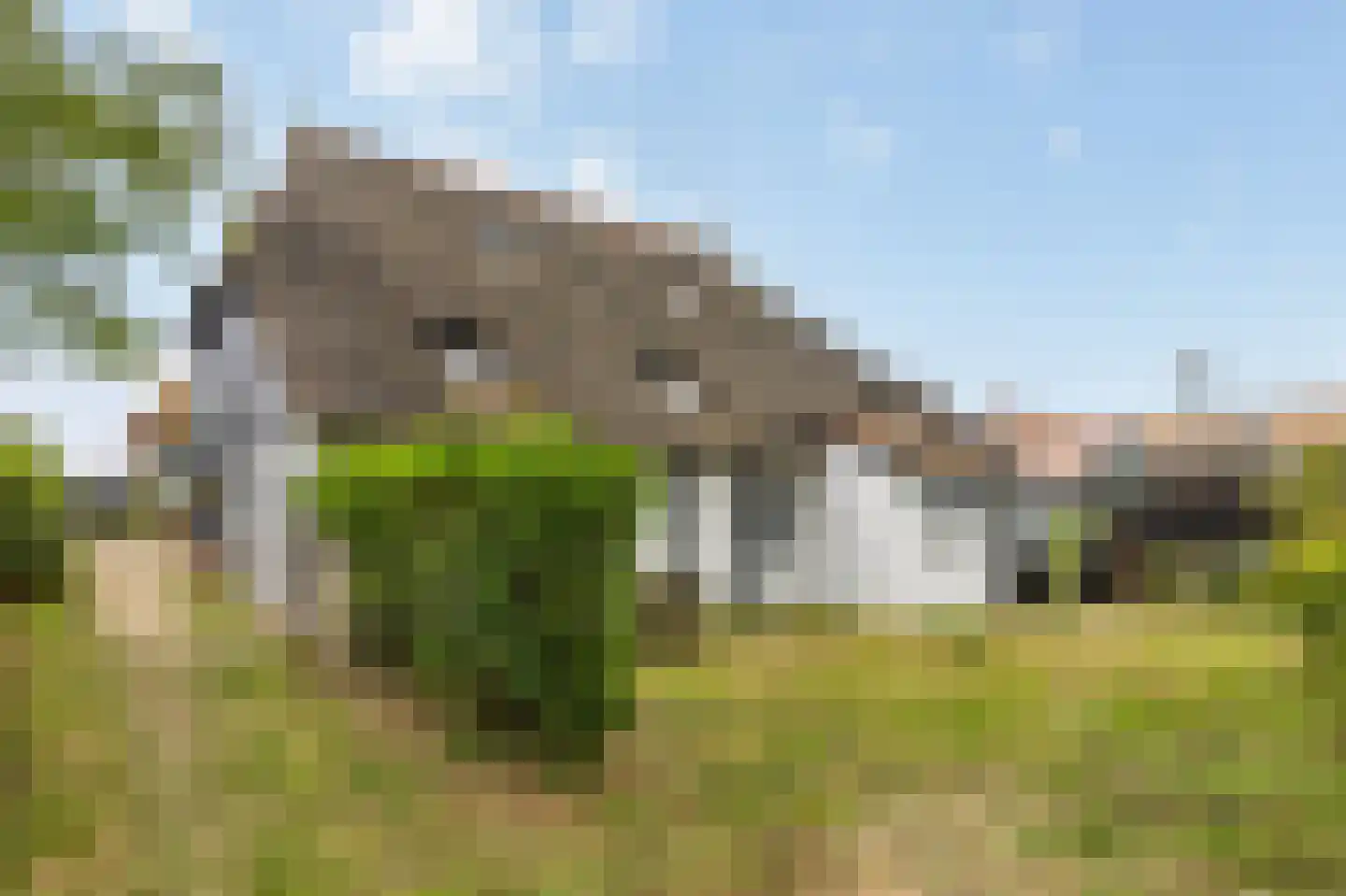 Oudebildtdijk 1222 Westhoek thumbnail 85