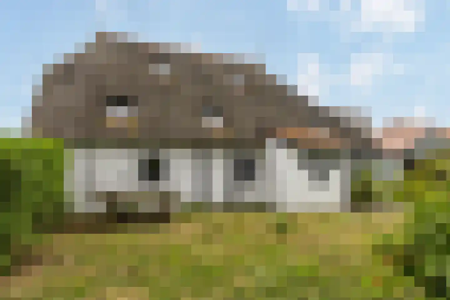 Oudebildtdijk 1222 Westhoek thumbnail 86