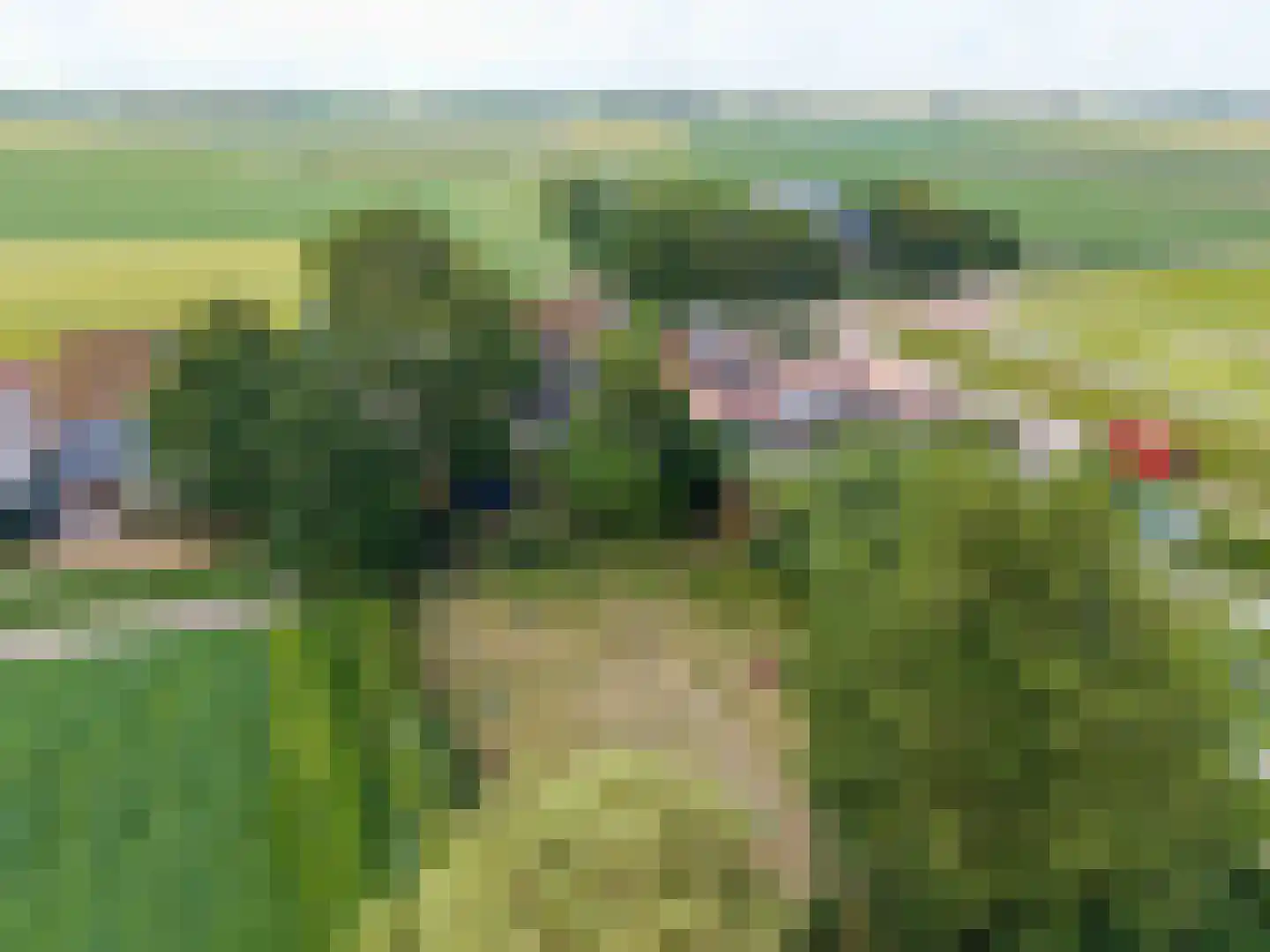 Oudebildtdijk 1222 Westhoek thumbnail 89
