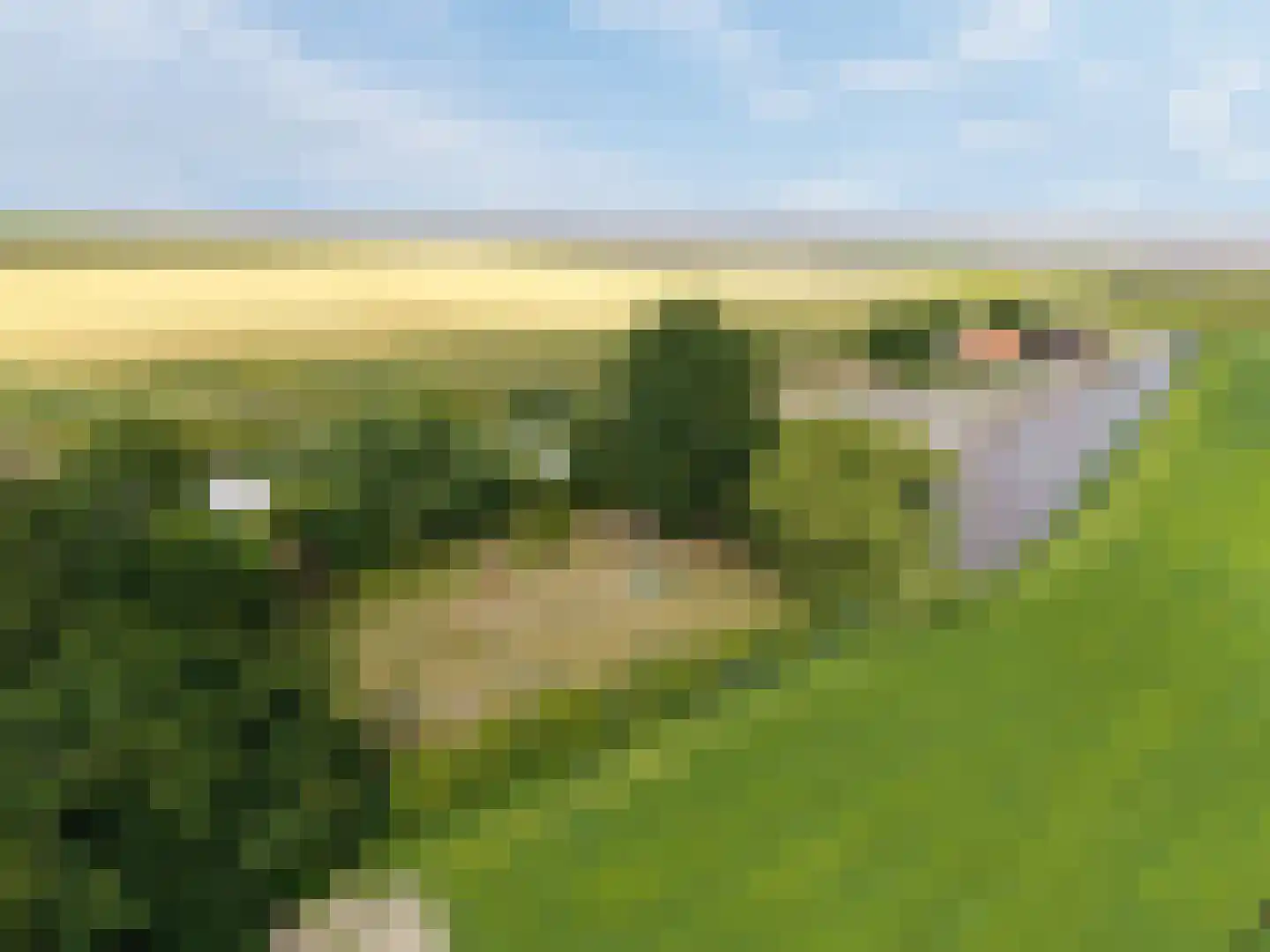 Oudebildtdijk 1222 Westhoek thumbnail 90