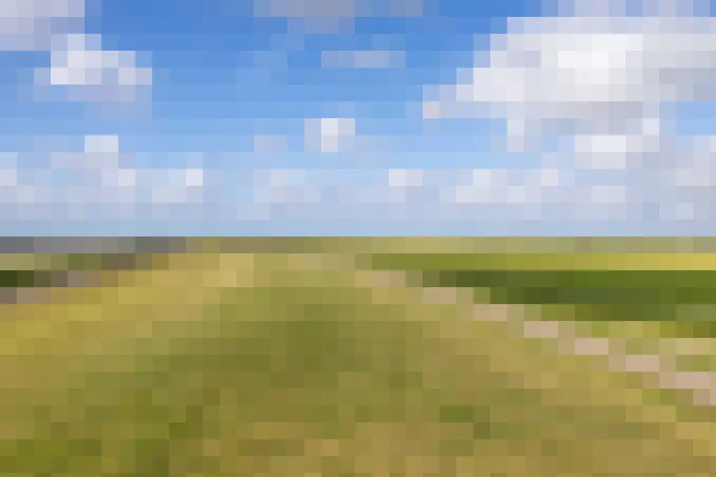 Oudebildtdijk 1222 Westhoek thumbnail 94