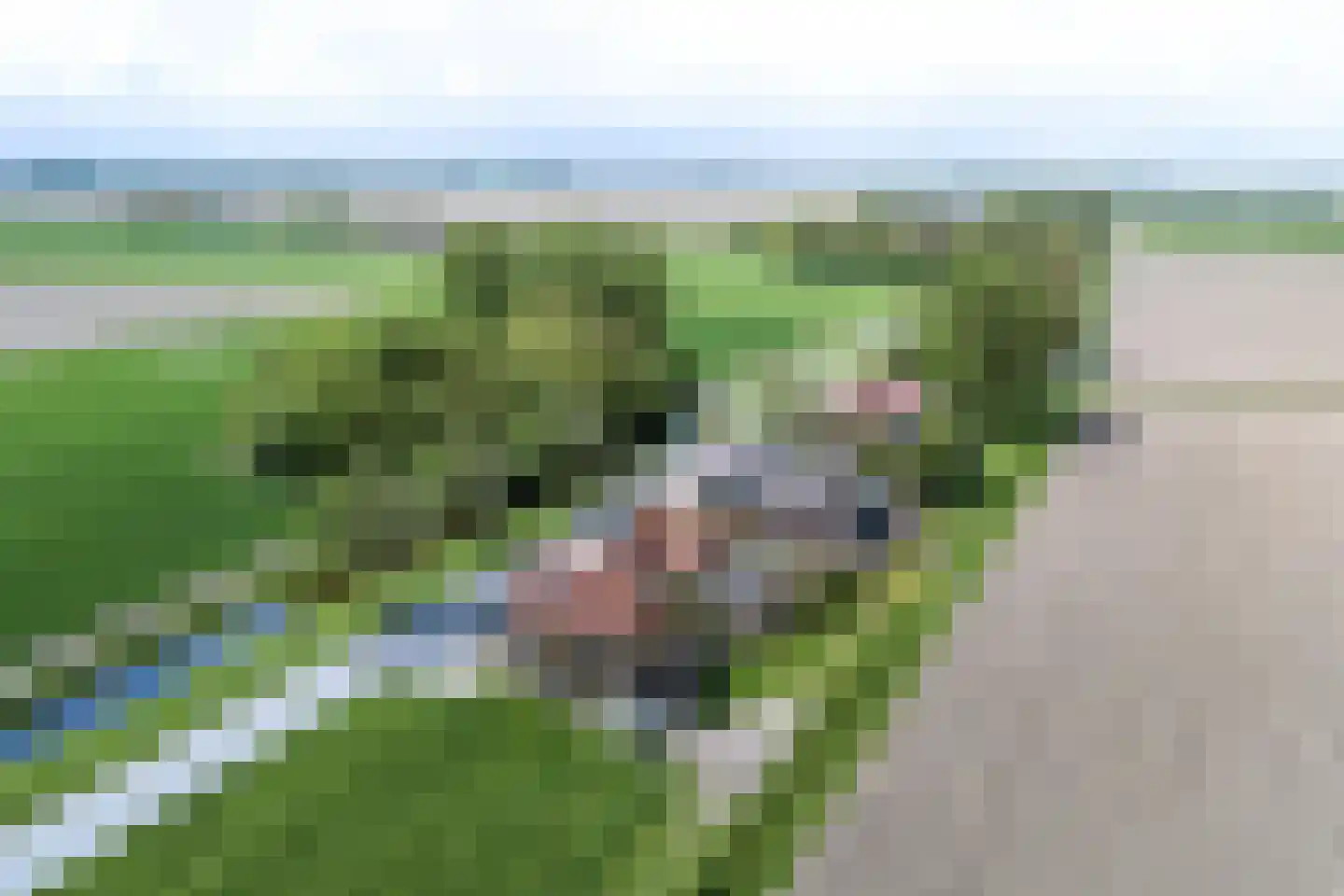 Oudebildtdijk 208 St.-Annaparochie thumbnail 27