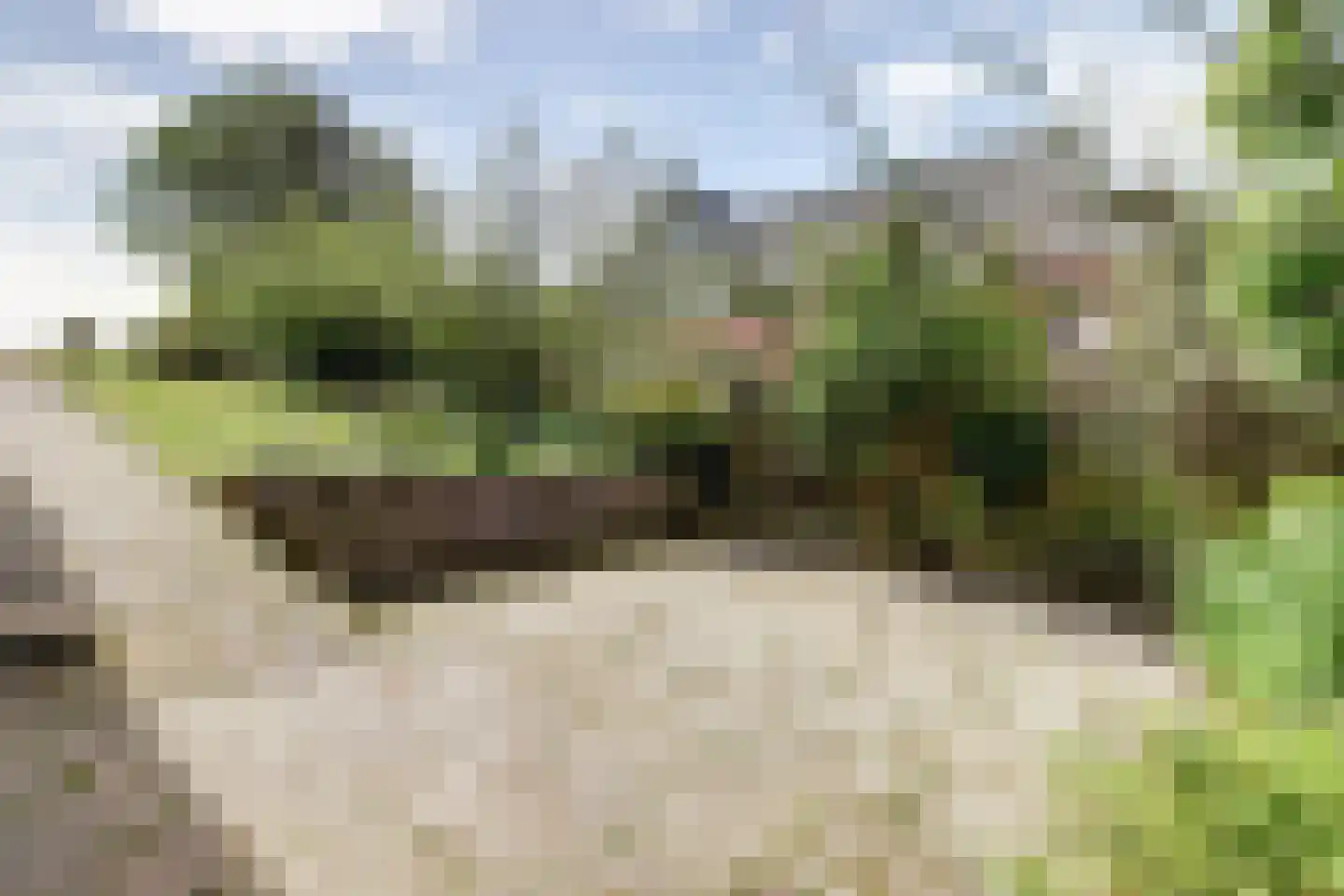 Oudebildtdijk 208 St.-Annaparochie thumbnail 33